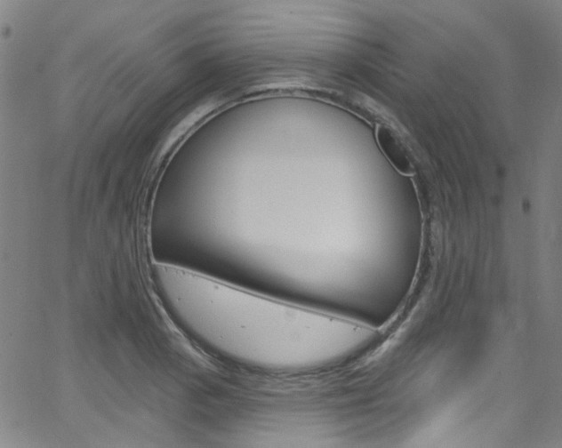 X0000063511129200601201045