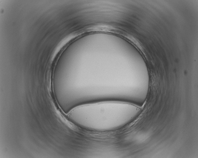 X0000063511131200601201045