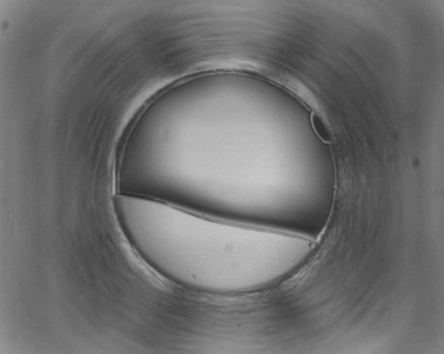 X0000063511132200601201045