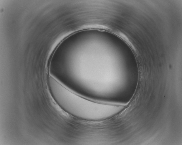 X0000063511140200601201045