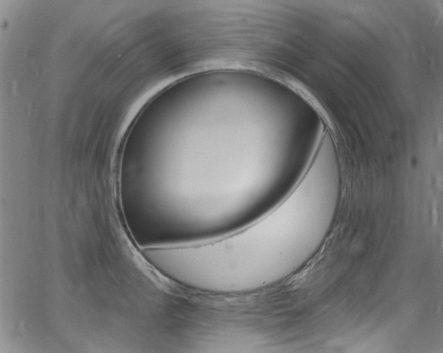 X0000063511148200601201045