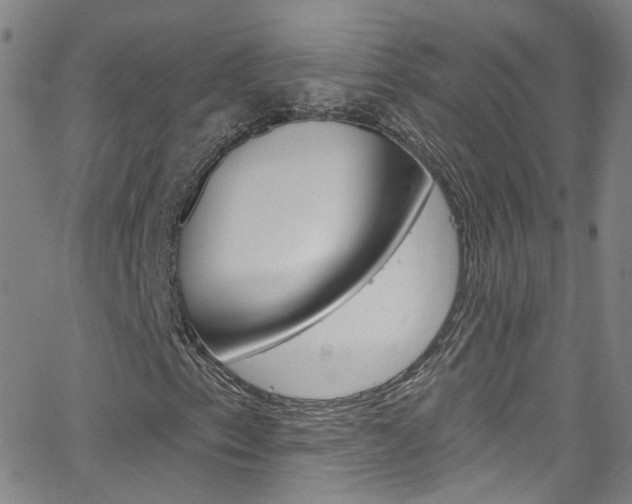 X0000063511153200601201044