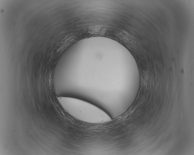 X0000063511154200601201044