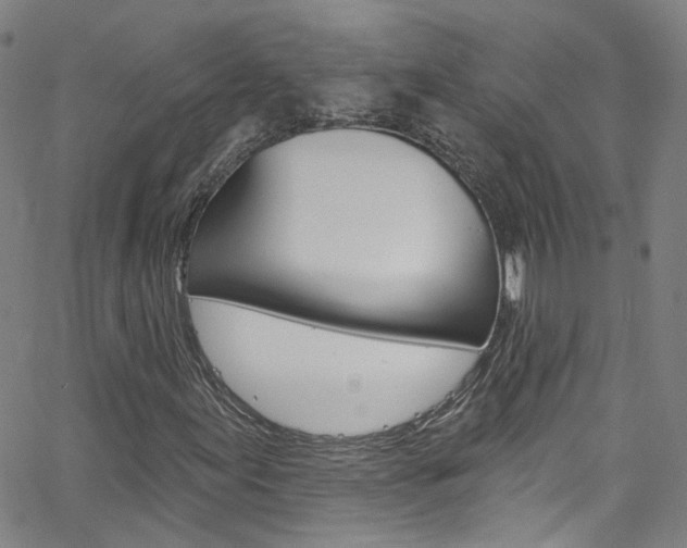 X0000063511155200601201044