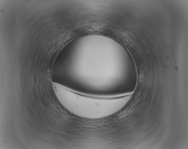 X0000063511156200601201044