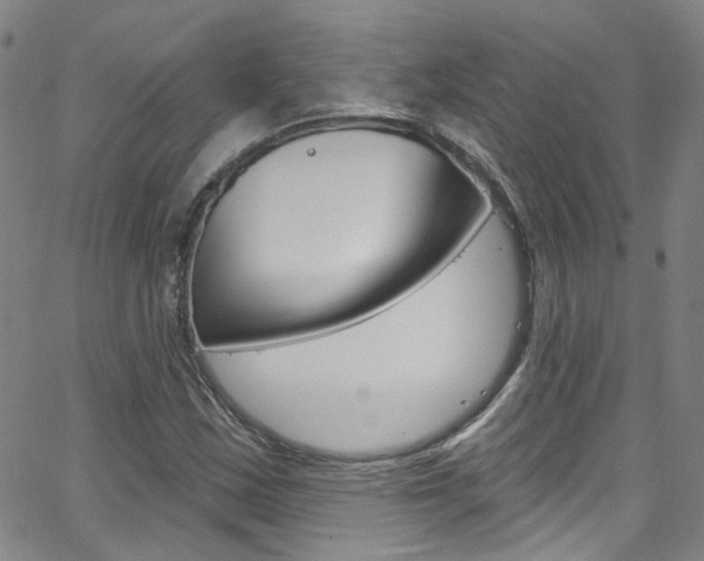 X0000063511163200601201044