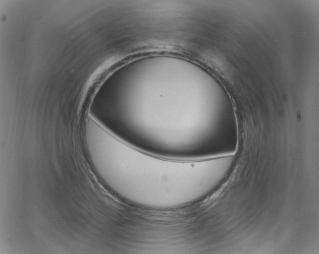 X0000063511172200601201044