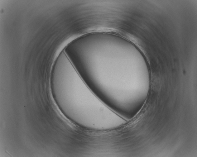 X0000063511187200601201044