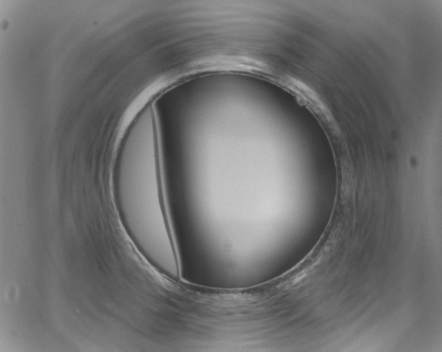 X0000063511188200601201044