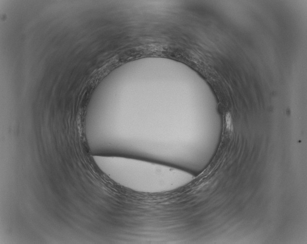 X0000063511203200601201043