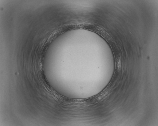 X0000063511204200601201043