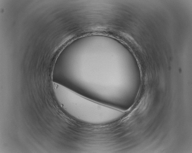 X0000063511209200601201043