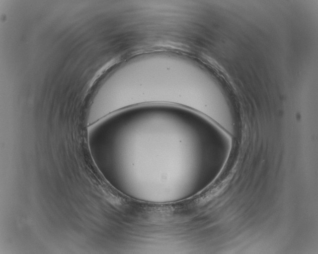 X0000063511210200601201043