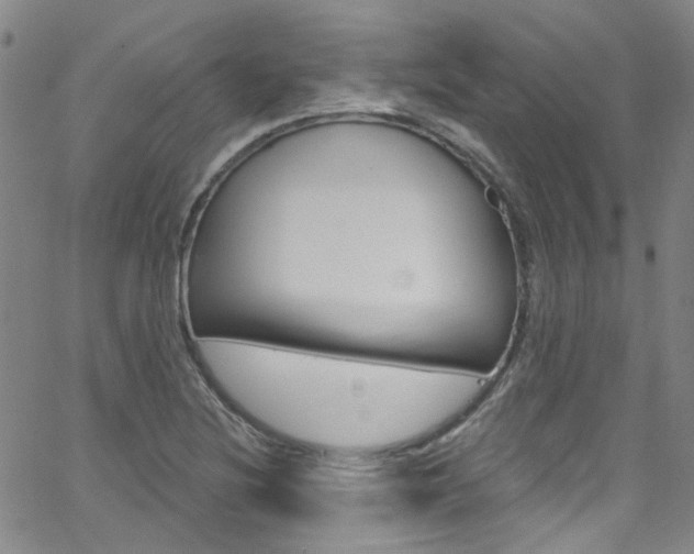 X0000063511220200601201043