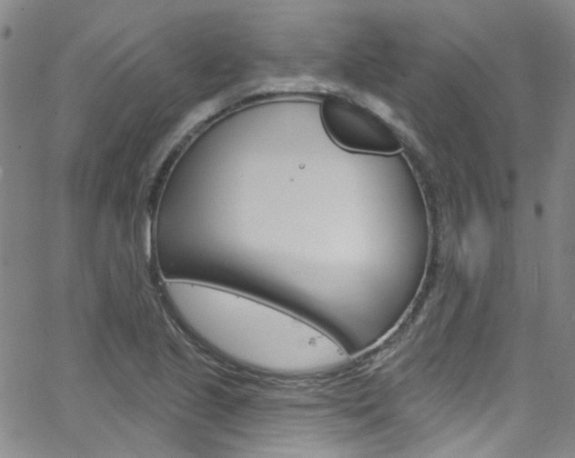 X0000063511221200601201043