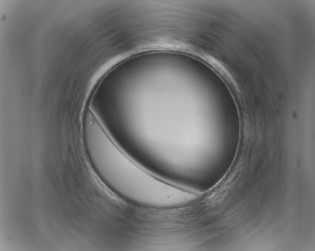 X0000063511238200601201043
