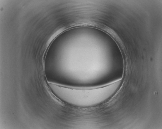 X0000063511242200601201043