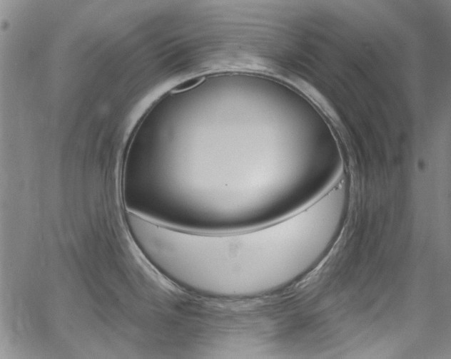X0000063511246200601201043