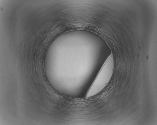 X0000063511249200601201043