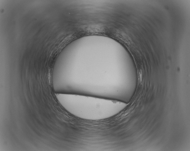 X0000063511251200601201043