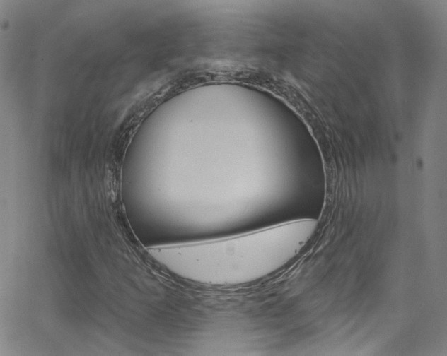 X0000063511253200601201042
