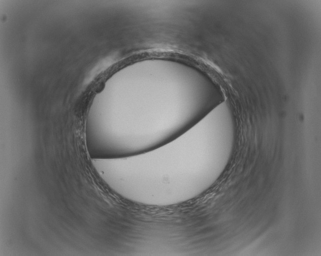 X0000063511255200601201042
