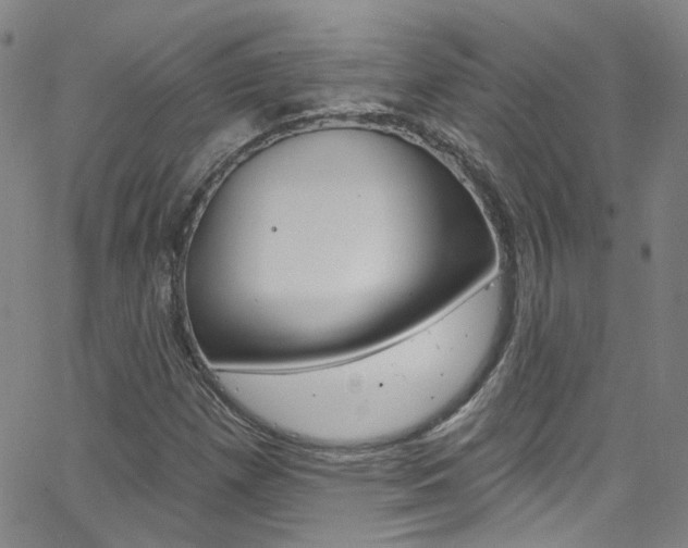 X0000063511257200601201042