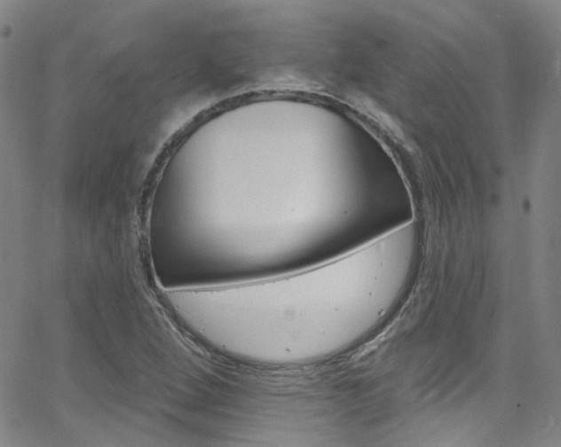 X0000063511264200601201042