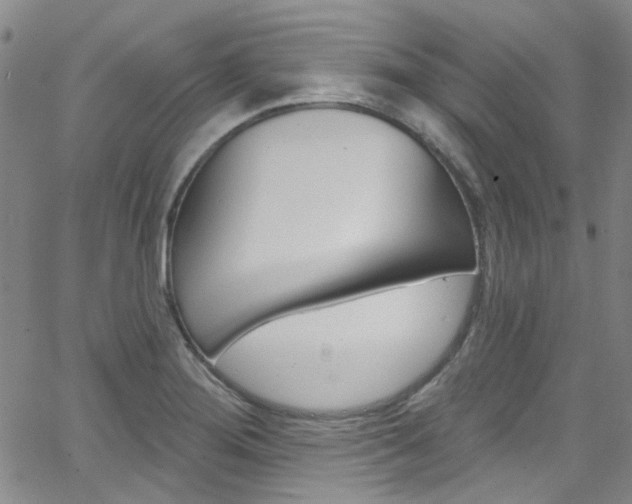 X0000063511276200601201042