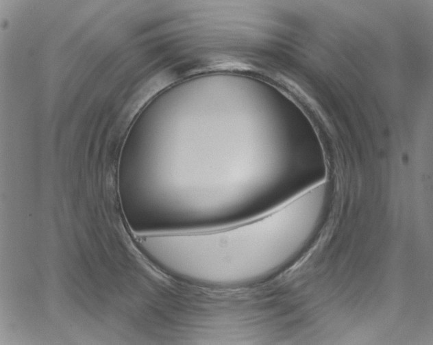 X0000063511281200601201042