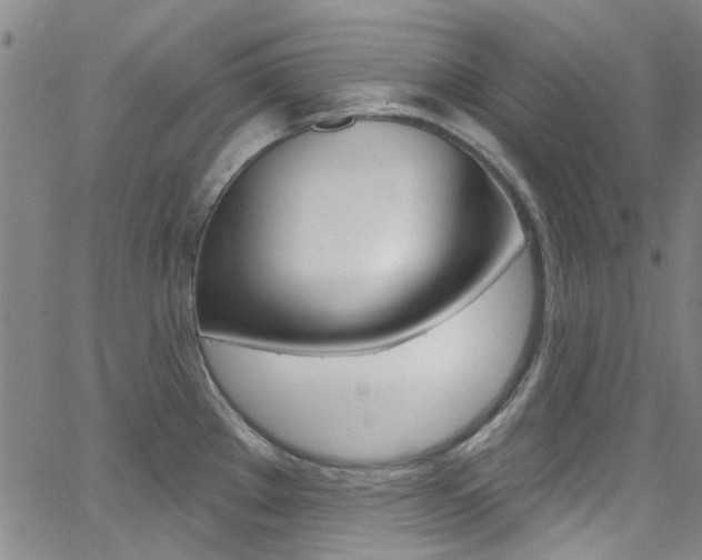 X0000063511289200601201042