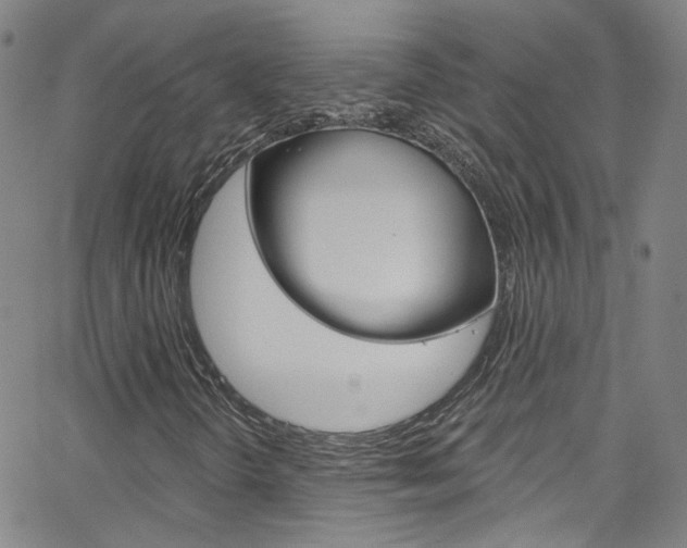 X0000063511298200601201041
