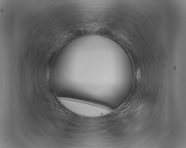 X0000063511299200601201041