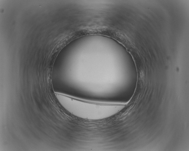 X0000063511300200601201041