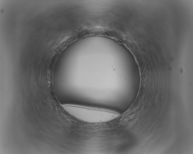 X0000063511301200601201041