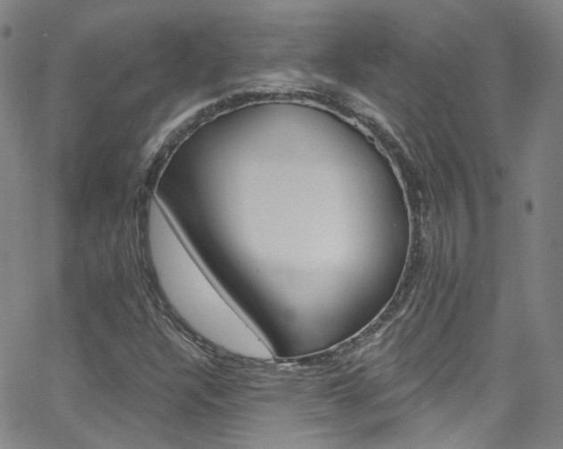 X0000063511304200601201041