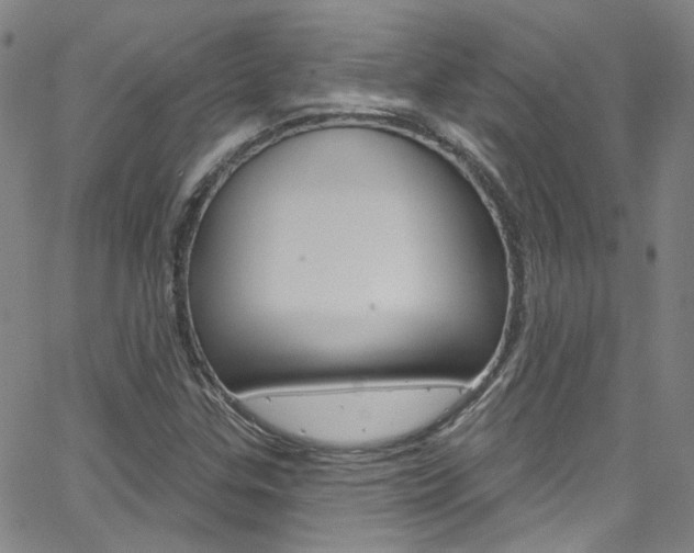 X0000063511307200601201041
