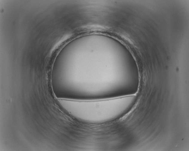 X0000063511309200601201041