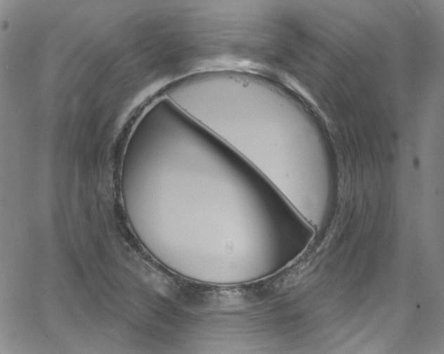 X0000063511315200601201041