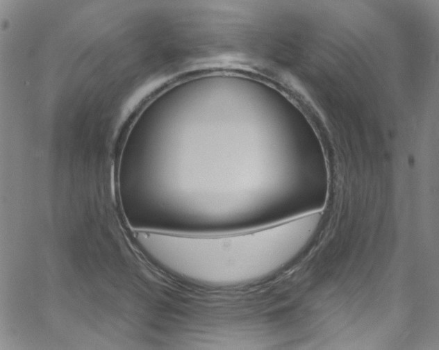 X0000063511320200601201041
