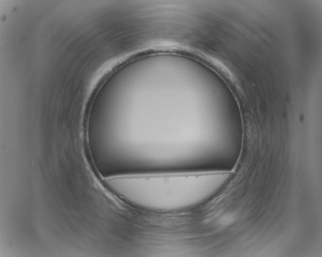 X0000063511327200601201041