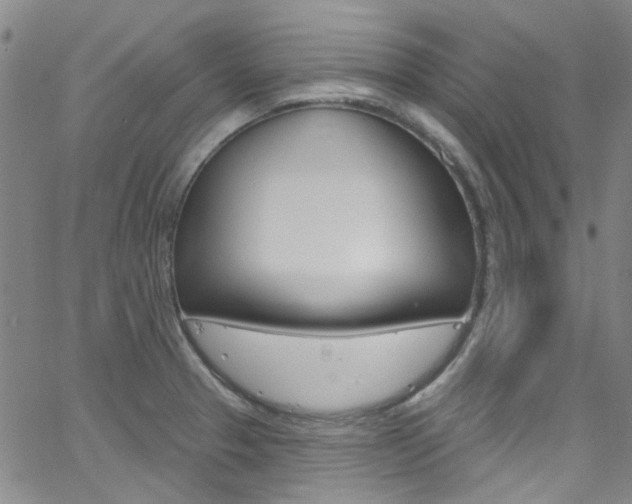 X0000063511329200601201042