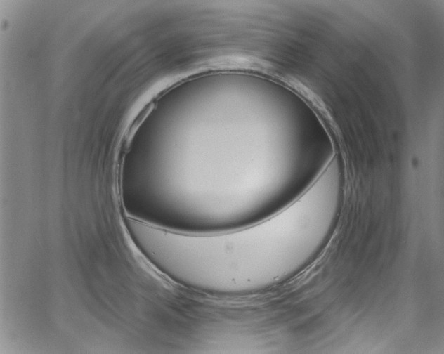 X0000063511342200601201042