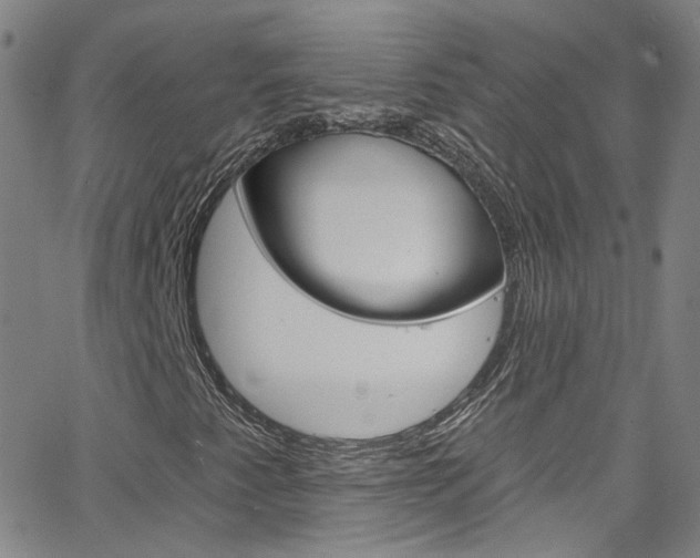 X0000063511345200601201041