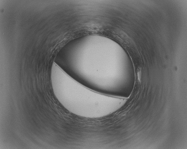 X0000063511347200601201041