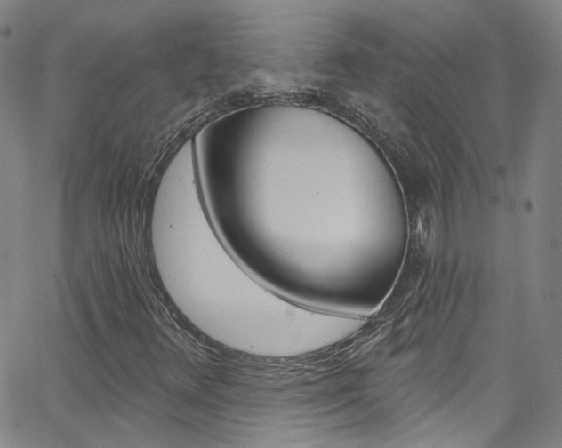 X0000063511348200601201041