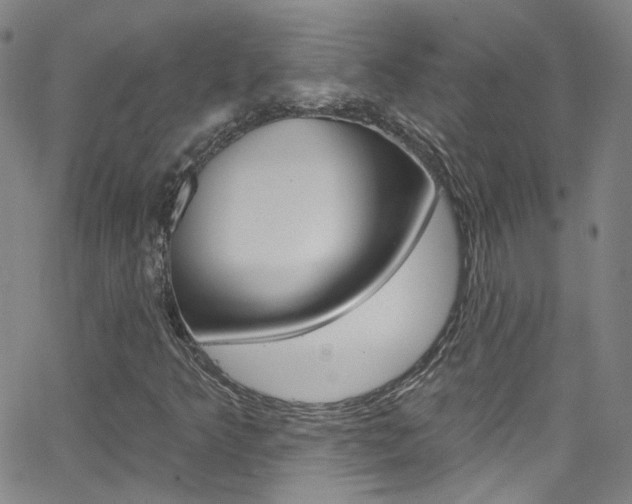 X0000063511349200601201041