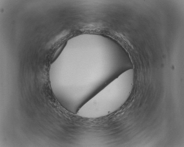 X0000063511350200601201041