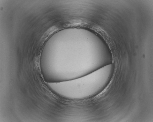 X0000063511353200601201041