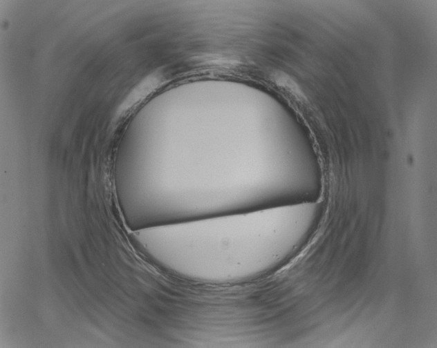 X0000063511354200601201041